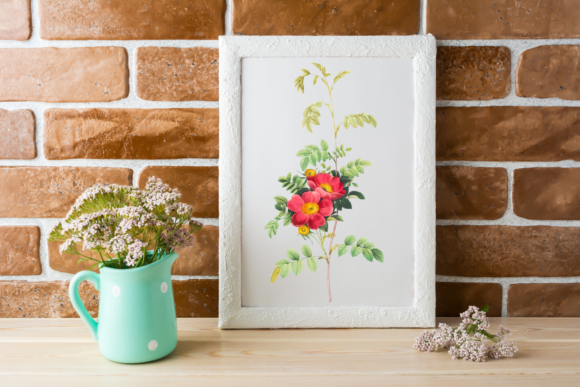 Download Wid Botanical Illustration, Rustic Rose - Illustration Collection