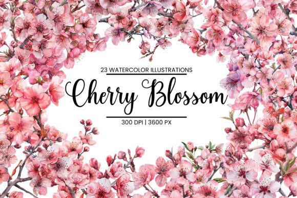 Download Watercolor Cherry Blossom Illustrations - Illustration Collection